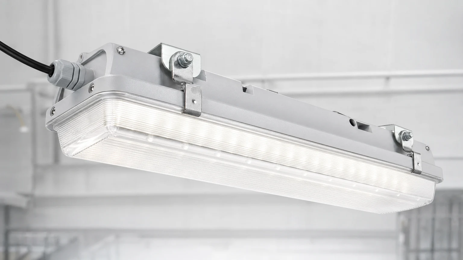 Cold Storage Emergency Light product image 1